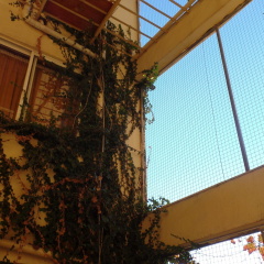 Cavo D'Oro Hotel - Bild 1