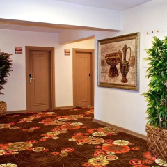 Hotel Mithat - Bild 17