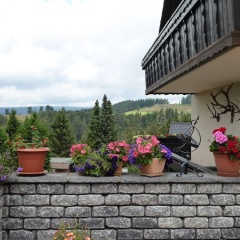 Landhaus Fischer - Bild 22