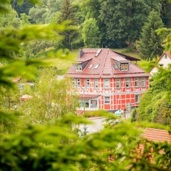 Eishexe - Bild 15