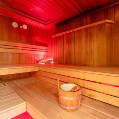 Plaza Premium Wien - Bild 22
