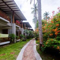 Sand Sea Resort - Bild 24