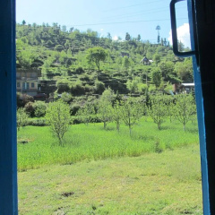 Rock Top Inn Jibhi, Jibhi