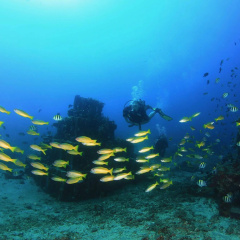 Minabali Bunga'lo - Bild 10