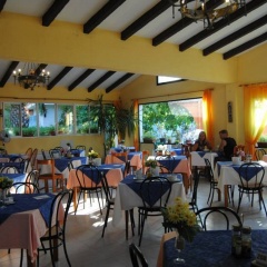 Soller Garden - Bild 15