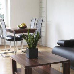 rent-a-home Bristenweg - Bild 7