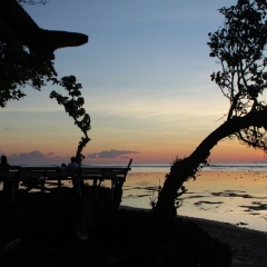 G-Land Joyo's Camp - Bild 10