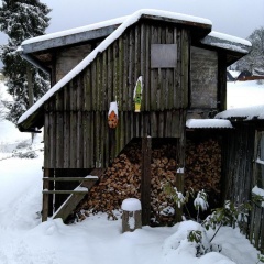 Harzhaus Schneewittchen - Bild 11