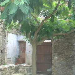 Habitatges turístics Les Tranquiles thumbnail 4
