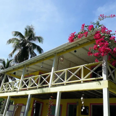 Yellow Home Casa Baja thumbnail 36