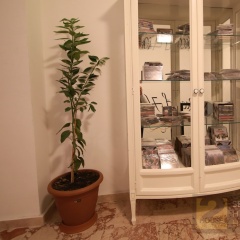 Second House Hotel - Bild 3