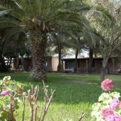 Tenuta Terenzano thumbnail 32