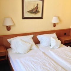 The Eden Hotel - Am Kurpark - Bild 7