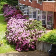 GDA Hotel Hildastift am Kurpark - Bild 14