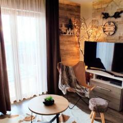 Apartment F10 Milmari Resort in Kopaonik, Serbia from 95$, photos, reviews - zenhotels.com photo 17