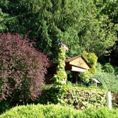 Haus Gnigl - Bild 11