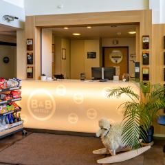 B&B Hotel Braunschweig-Nord - Bild 2