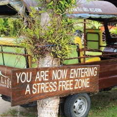ThaiLife Wellness and Meditation Resort - Bild 28