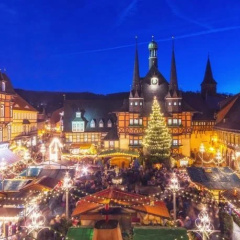 Rathaus Wernigerode - Bild 1