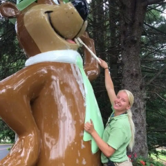 Yogi Bear's Jellystone Park Camp-Resort Wisconsin Dells thumbnail 38