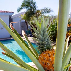 Westpunt - Ruby 89 in St. Marie, Curacao from 277$, photos, reviews - zenhotels.com photo 8