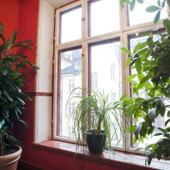 Hotel Hellsten - Bild 17