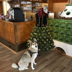 Hotel Schwansee - Bild 9