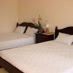 Homestay Thanh Long thumbnail 4