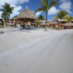 Spanish Water Beach in Willemstad, Curacao from 203$, photos, reviews - zenhotels.com photo 30