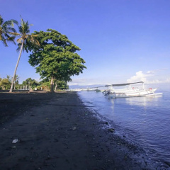 New Sunari Lovina Beach Resort - Bild 17