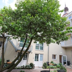 Aparthotel St Marien Altstadt - Bild 1