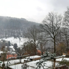 Ferienhaus im Harz mit Wanderwegen - Bild 14