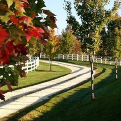The Red Horse Inn thumbnail 41