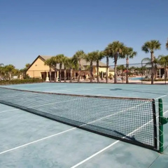 Paradise Palms 8876 thumbnail 18
