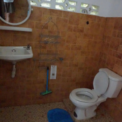 Pine Bungalow - Bild 9