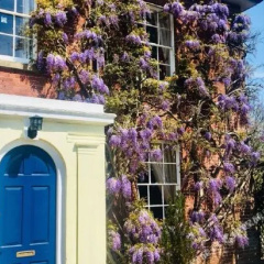 The Old Rectory B&B thumbnail 14