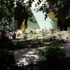 Cirali Olympos Hotel - Bild 10