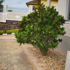 Kigali Guest House in Kigali, Rwanda from 49$, photos, reviews - zenhotels.com photo 21