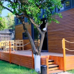 Mandalin Tiny House - Bild 19