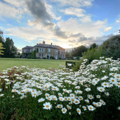 Sutton Hall Resort thumbnail 17