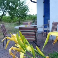 Schöne Wohnung Parsdorf - Bild 4