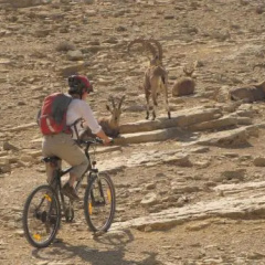 Hadar Bamidbar thumbnail 11