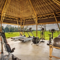 Visesa Ubud Resort - Bild 30