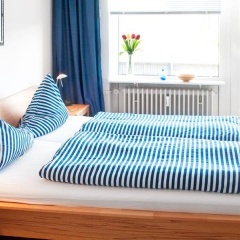 Seelöwe App. 9 - Bild 5