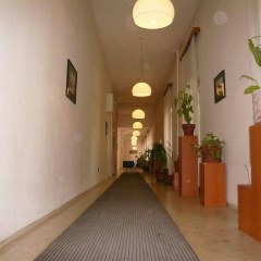 Dominik Panzio - Bild 11