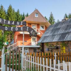 Apartments Dedeic in Zabljak, Montenegro from 74$, photos, reviews - zenhotels.com photo 13
