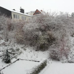 Ferienwohnung Am Paradies - Bild 5
