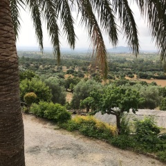 Agroturismo Petita Mare - Bild 18