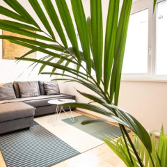 City-Apartment Neubaugasse - Bild 14