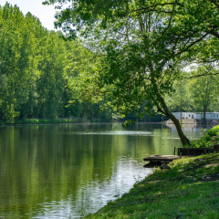 Well-maintained chalet with WiFi, in a green holiday park near Amsterdam - Bild 8